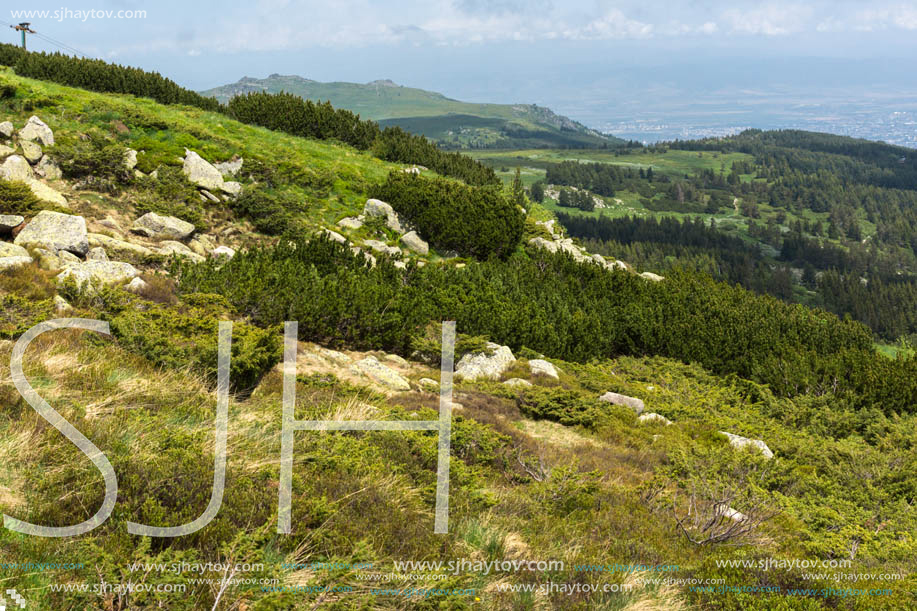 Panorama with green hills at Vitosha Mountain, Sofia City Region, Bulgaria