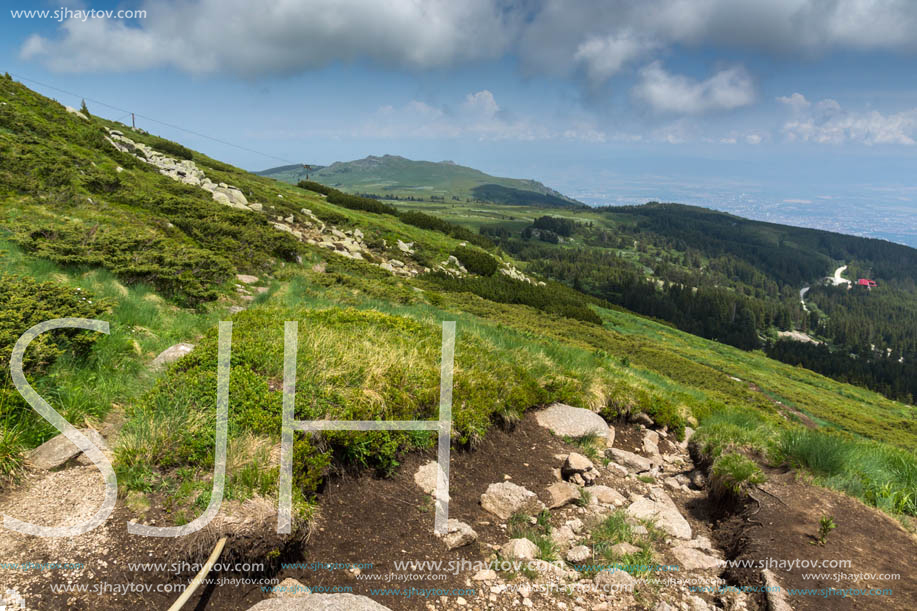 Panorama with green hills at Vitosha Mountain, Sofia City Region, Bulgaria