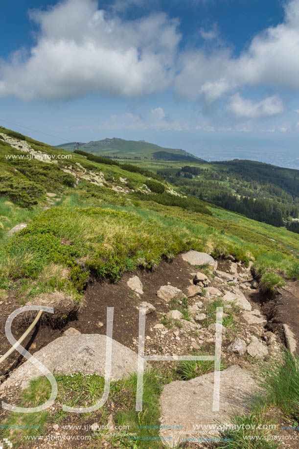 Panorama with green hills at Vitosha Mountain, Sofia City Region, Bulgaria