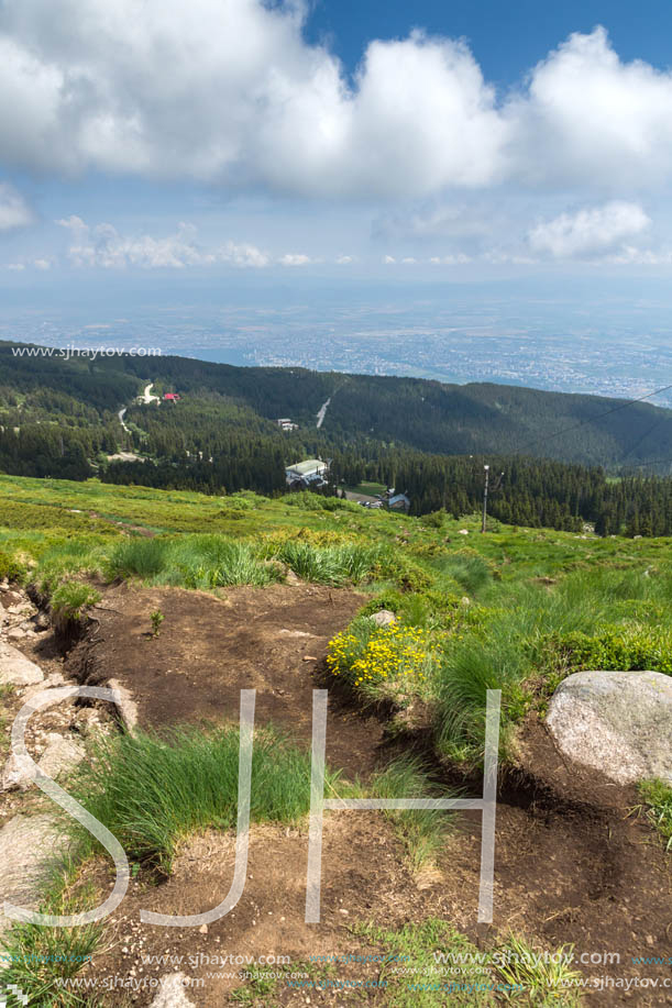 Panorama with green hills at Vitosha Mountain, Sofia City Region, Bulgaria