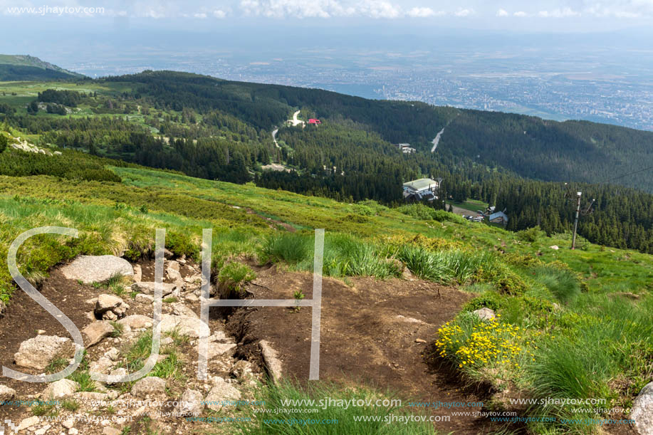 Panorama with green hills at Vitosha Mountain, Sofia City Region, Bulgaria