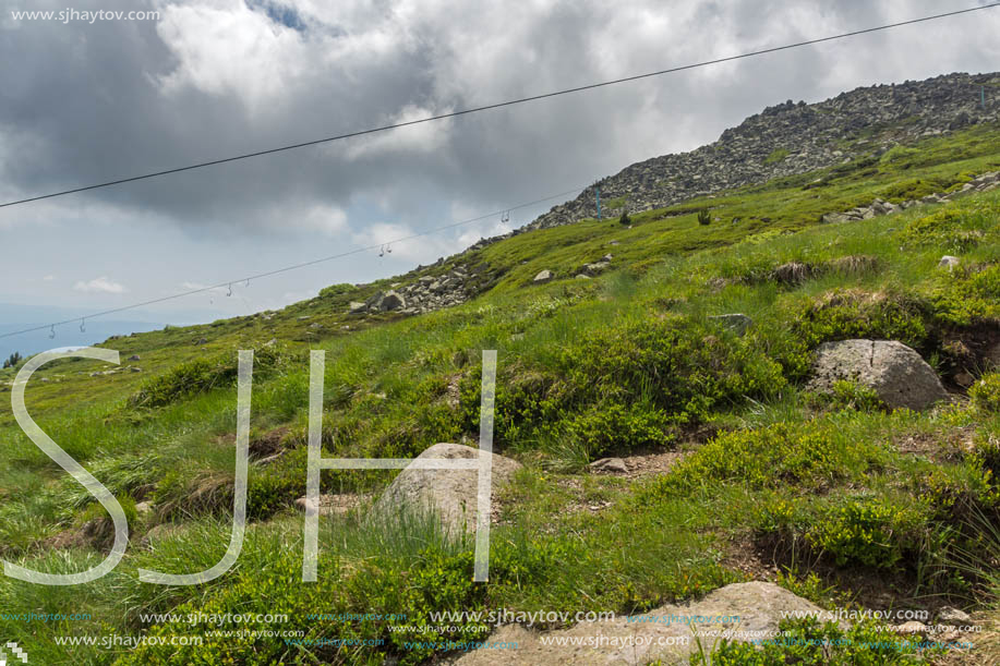 Panorama with green hills at Vitosha Mountain, Sofia City Region, Bulgaria