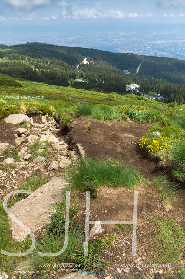 Panorama with green hills at Vitosha Mountain, Sofia City Region, Bulgaria