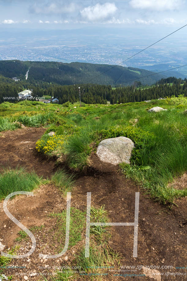 Panorama with green hills at Vitosha Mountain, Sofia City Region, Bulgaria