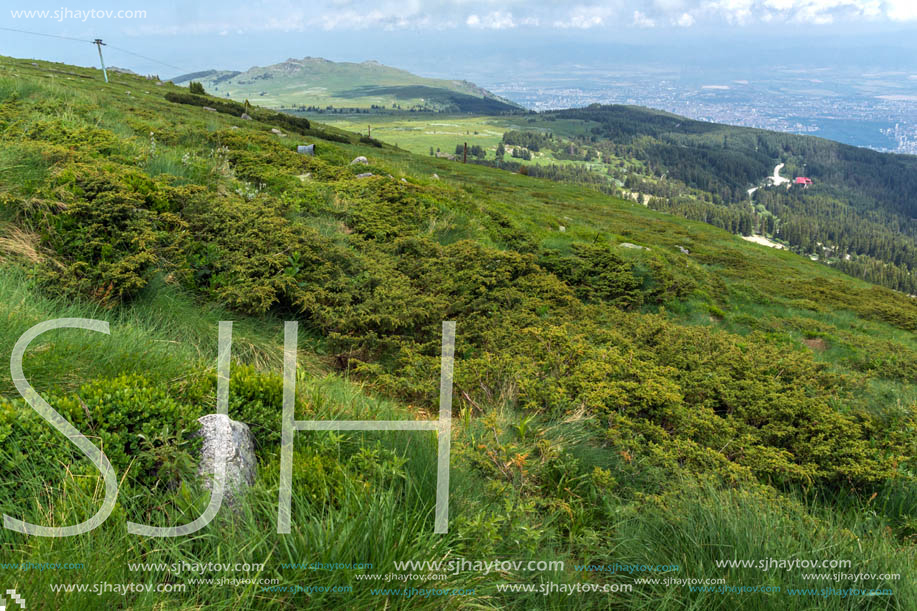 Panorama with green hills at Vitosha Mountain, Sofia City Region, Bulgaria