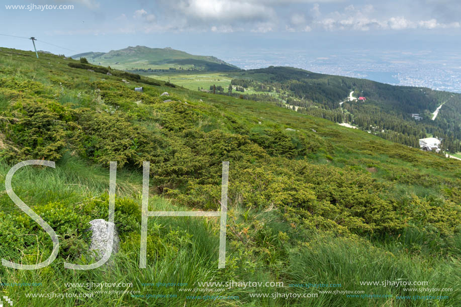 Panorama with green hills at Vitosha Mountain, Sofia City Region, Bulgaria