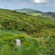 Panorama with green hills at Vitosha Mountain, Sofia City Region, Bulgaria