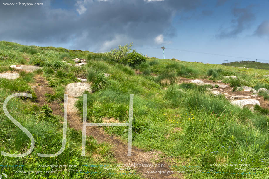 Panorama with green hills at Vitosha Mountain, Sofia City Region, Bulgaria