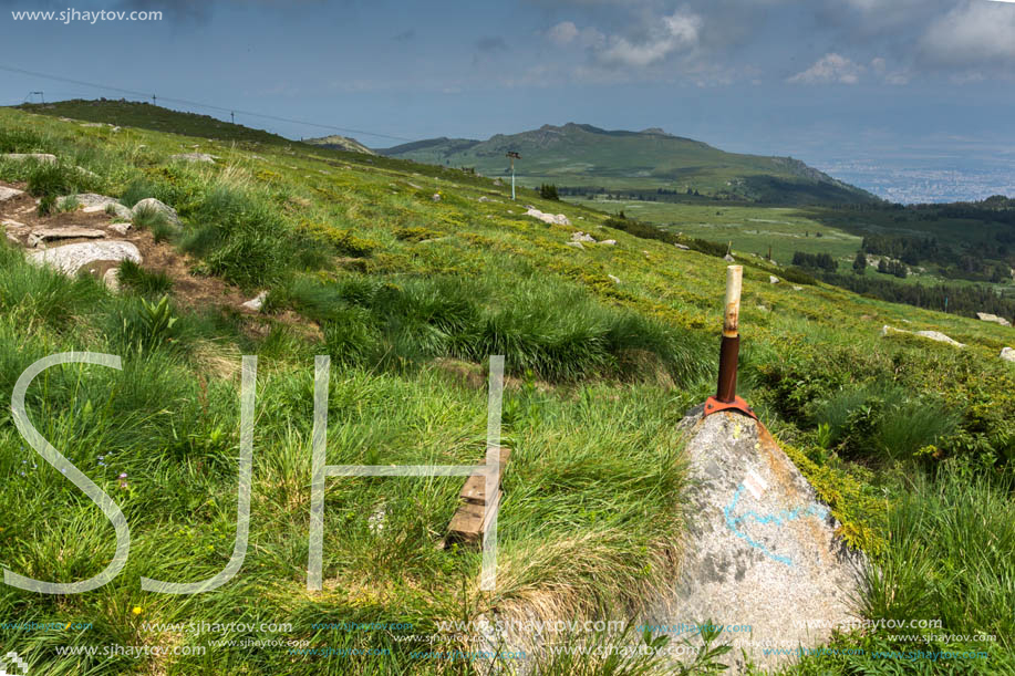 Panorama with green hills at Vitosha Mountain, Sofia City Region, Bulgaria