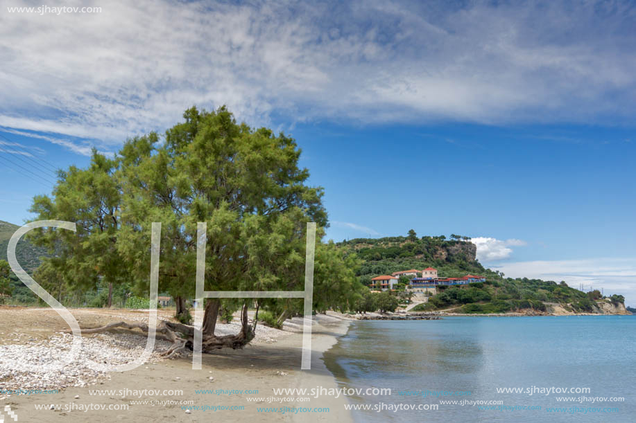 Green tree at Keriou beach, Zakynthos, Ionian island, Greece