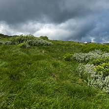 Landscape with hills of Vitosha Mountain, Sofia City Region, Bulgaria