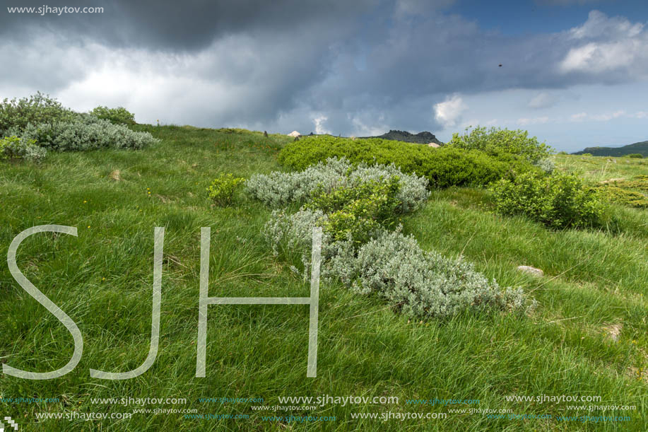 Landscape with hills of Vitosha Mountain, Sofia City Region, Bulgaria