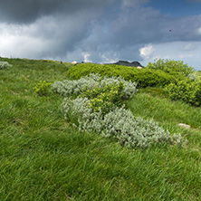 Landscape with hills of Vitosha Mountain, Sofia City Region, Bulgaria