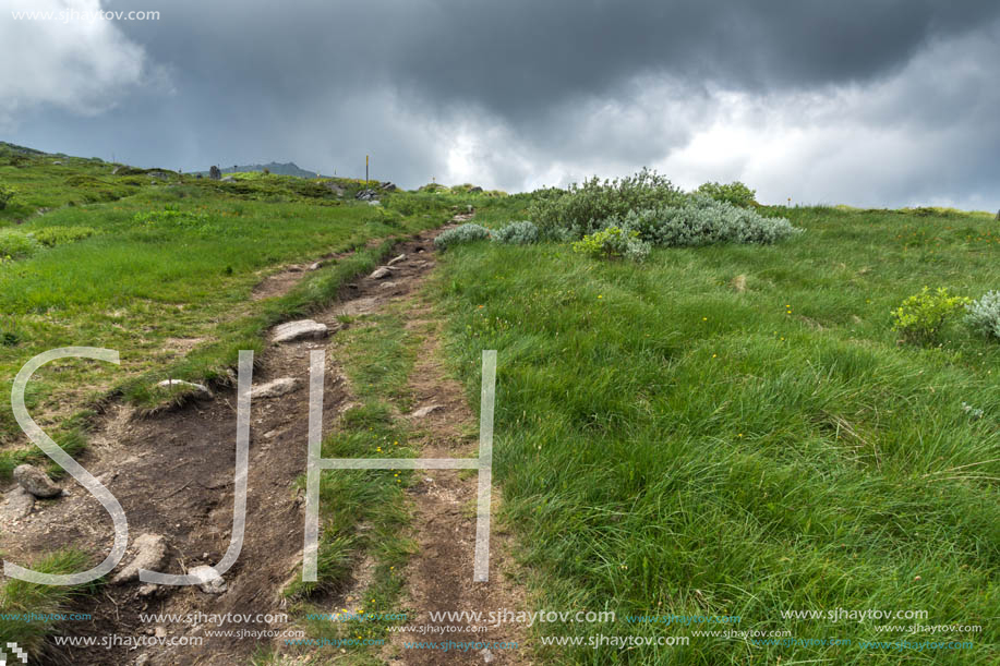 Landscape with hills of Vitosha Mountain, Sofia City Region, Bulgaria