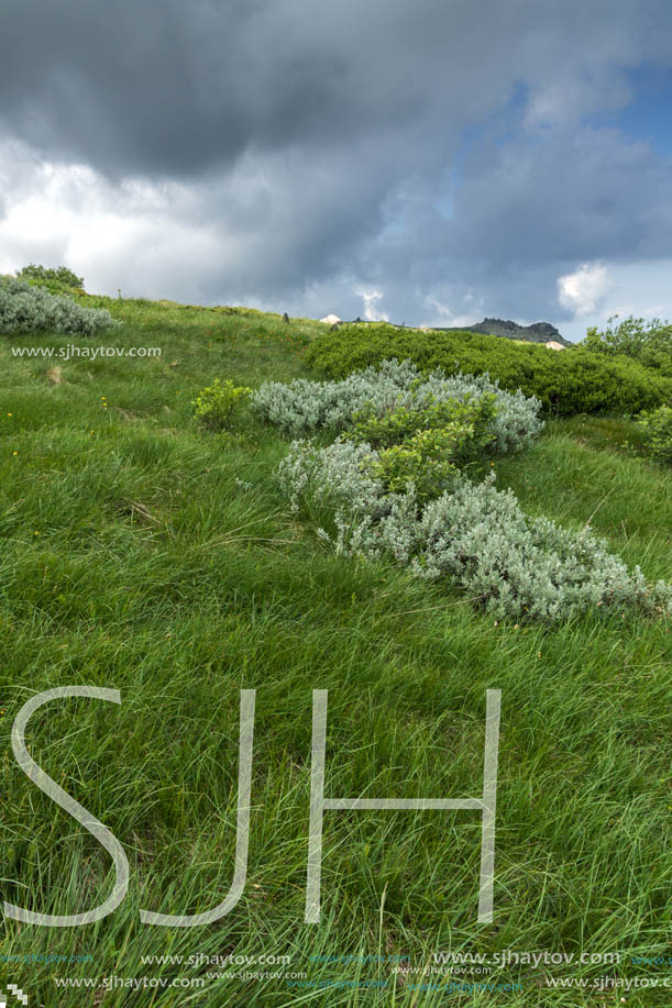 Landscape with hills of Vitosha Mountain, Sofia City Region, Bulgaria