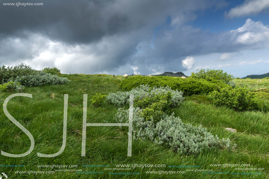 Landscape with hills of Vitosha Mountain, Sofia City Region, Bulgaria