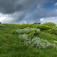 Landscape with hills of Vitosha Mountain, Sofia City Region, Bulgaria