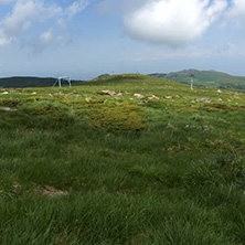 Landscape with hills of Vitosha Mountain, Sofia City Region, Bulgaria