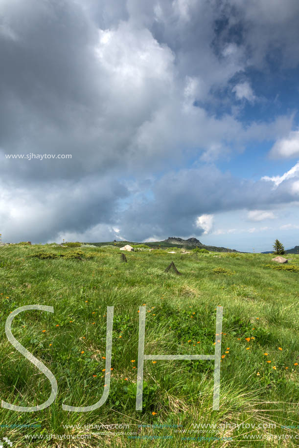 Landscape with hills of Vitosha Mountain, Sofia City Region, Bulgaria