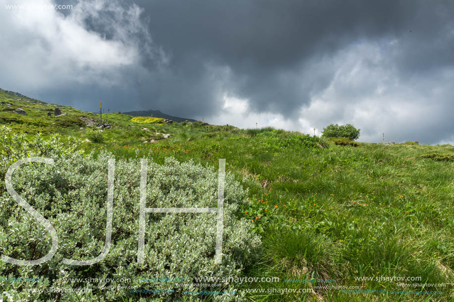 Landscape with hills of Vitosha Mountain, Sofia City Region, Bulgaria