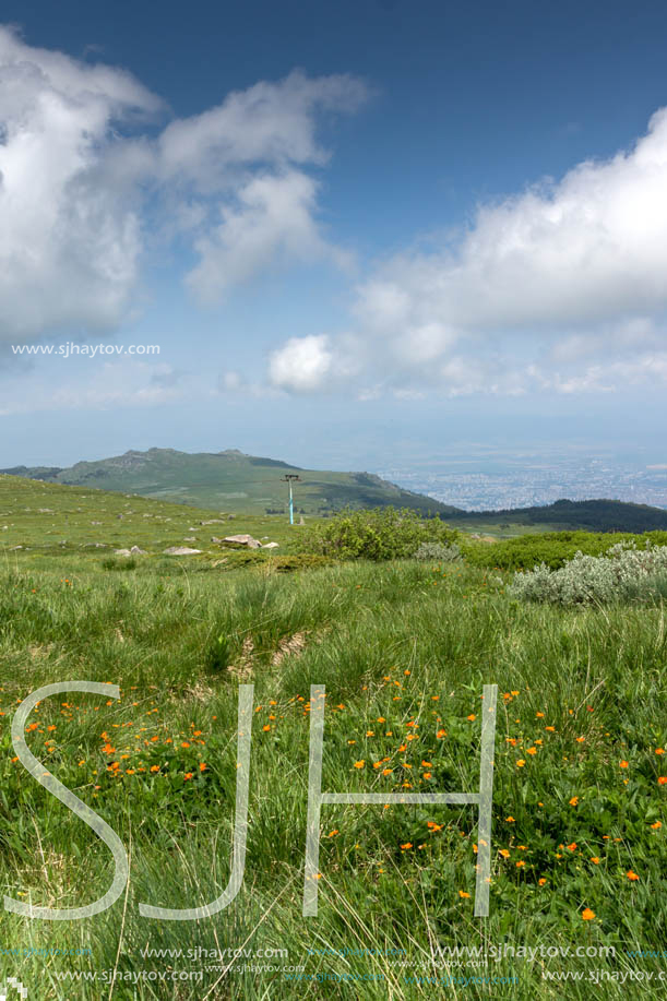 Landscape with hills of Vitosha Mountain, Sofia City Region, Bulgaria