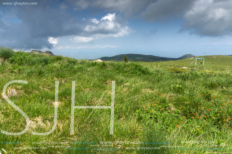 Landscape with hills of Vitosha Mountain, Sofia City Region, Bulgaria