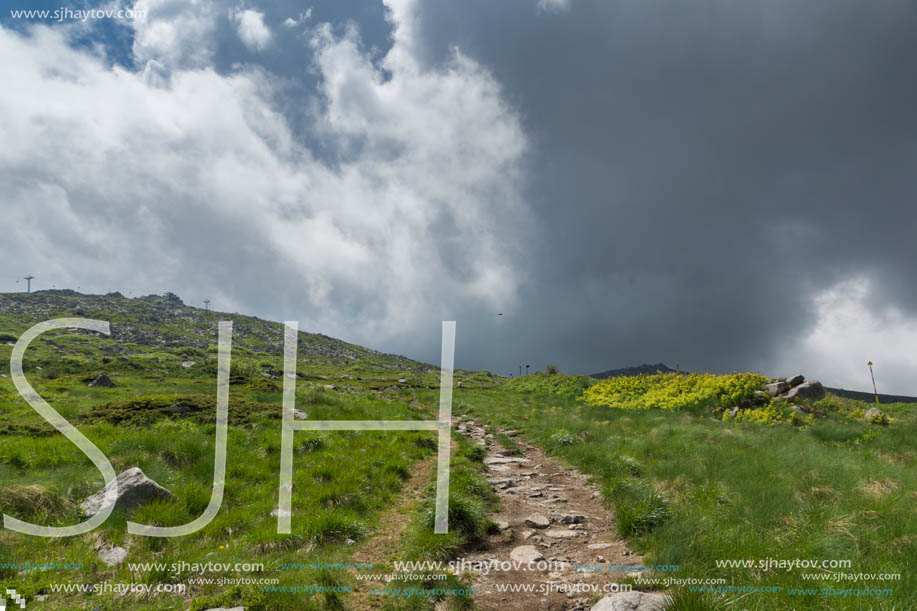 Landscape with hills of Vitosha Mountain, Sofia City Region, Bulgaria