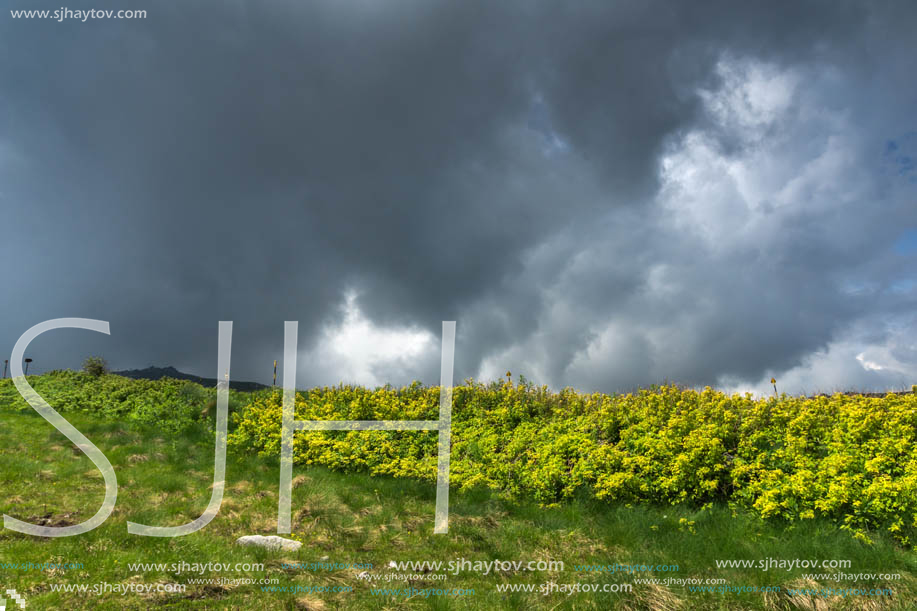 Landscape with hills of Vitosha Mountain, Sofia City Region, Bulgaria