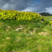 Landscape with hills of Vitosha Mountain, Sofia City Region, Bulgaria