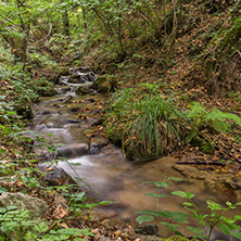 Landscape with Barlen Dere River in Belasica Mountain, Novo Selo, Republic of Macedonia