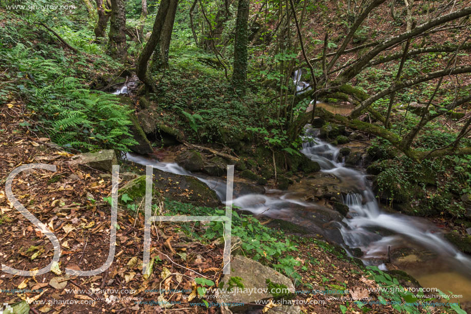 Landscape with Barlen Dere River in Belasica Mountain, Novo Selo, Republic of Macedonia