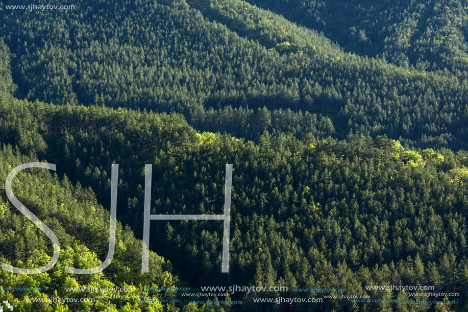 Amazing Spring Landscape near rock formation Stob pyramids, Rila Mountain, Kyustendil region, Bulgaria