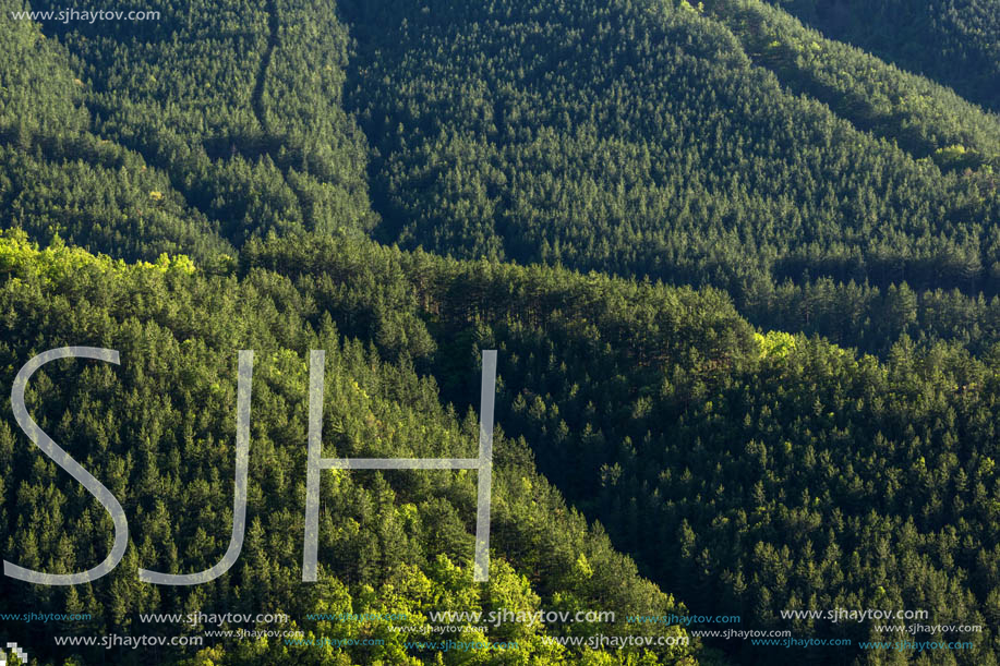 Amazing Spring Landscape near rock formation Stob pyramids, Rila Mountain, Kyustendil region, Bulgaria