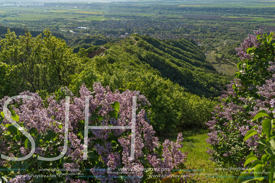 Amazing Spring Landscape near rock formation Stob pyramids, Rila Mountain, Kyustendil region, Bulgaria