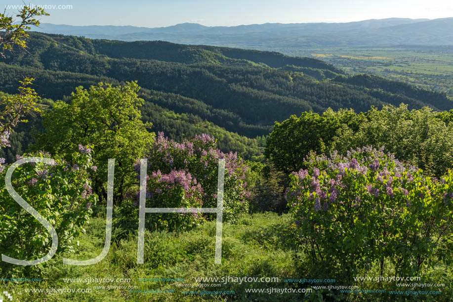 Amazing Spring Landscape near rock formation Stob pyramids, Rila Mountain, Kyustendil region, Bulgaria