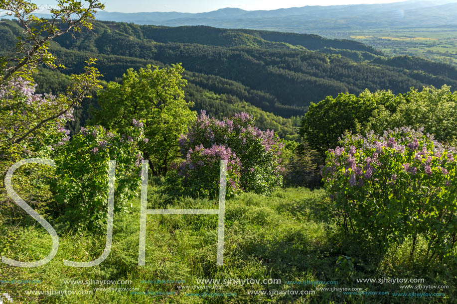 Amazing Spring Landscape near rock formation Stob pyramids, Rila Mountain, Kyustendil region, Bulgaria