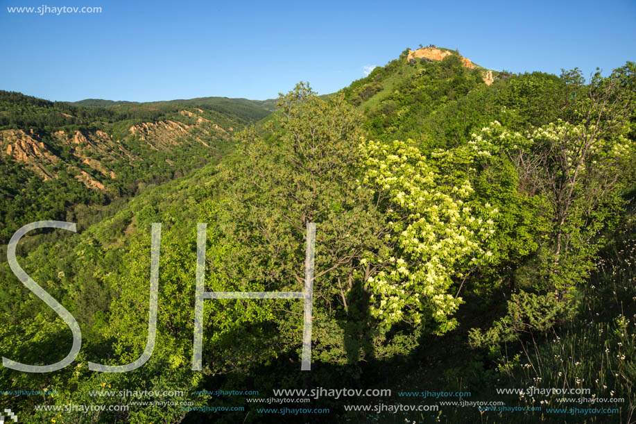 Amazing Spring Landscape near rock formation Stob pyramids, Rila Mountain, Kyustendil region, Bulgaria