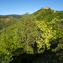 Amazing Spring Landscape near rock formation Stob pyramids, Rila Mountain, Kyustendil region, Bulgaria