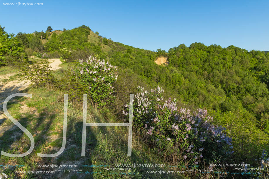 Amazing Spring Landscape near rock formation Stob pyramids, Rila Mountain, Kyustendil region, Bulgaria