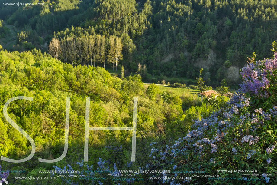 Amazing Spring Landscape near rock formation Stob pyramids, Rila Mountain, Kyustendil region, Bulgaria