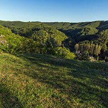 Amazing Spring Landscape near rock formation Stob pyramids, Rila Mountain, Kyustendil region, Bulgaria