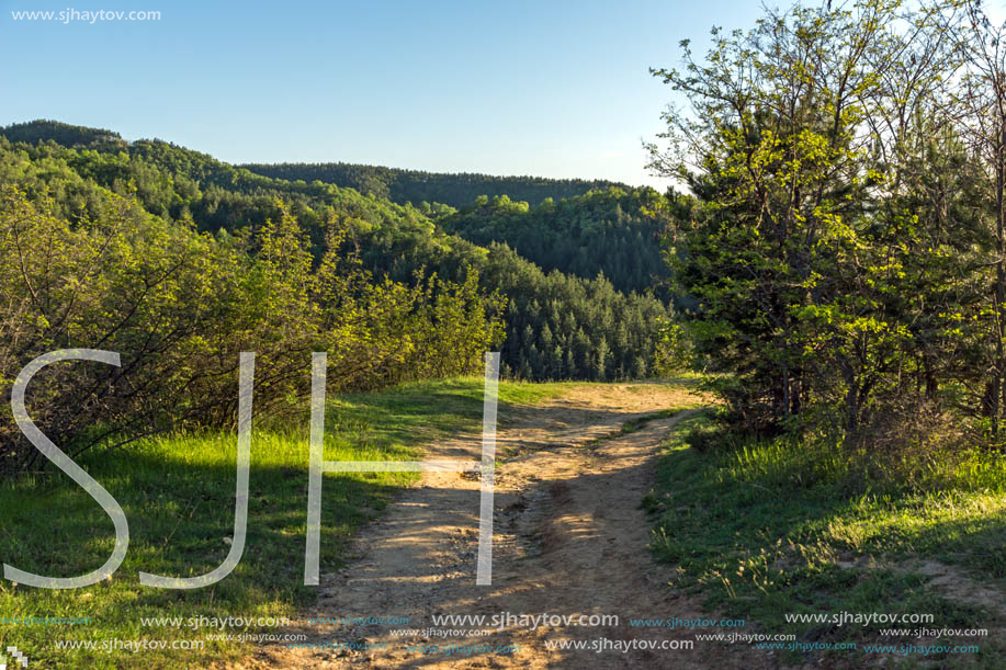 Amazing Spring Landscape near rock formation Stob pyramids, Rila Mountain, Kyustendil region, Bulgaria