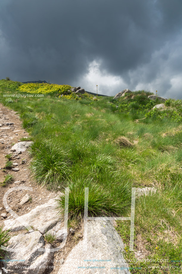 Panorama with green hills of Vitosha Mountain near Cherni Vrah Peak, Sofia City Region, Bulgaria