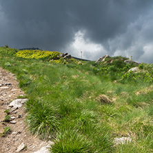 Panorama with green hills of Vitosha Mountain near Cherni Vrah Peak, Sofia City Region, Bulgaria