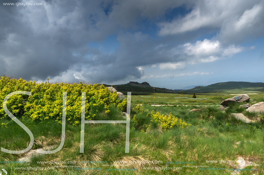 Panorama with green hills of Vitosha Mountain near Cherni Vrah Peak, Sofia City Region, Bulgaria