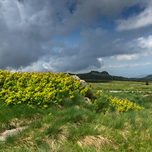 Panorama with green hills of Vitosha Mountain near Cherni Vrah Peak, Sofia City Region, Bulgaria