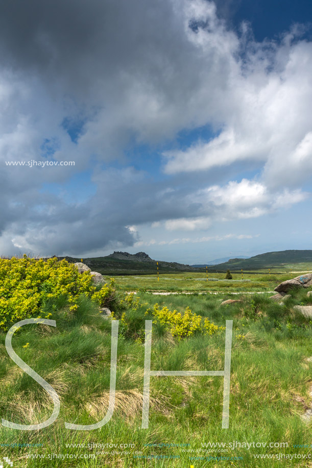 Panorama with green hills of Vitosha Mountain near Cherni Vrah Peak, Sofia City Region, Bulgaria