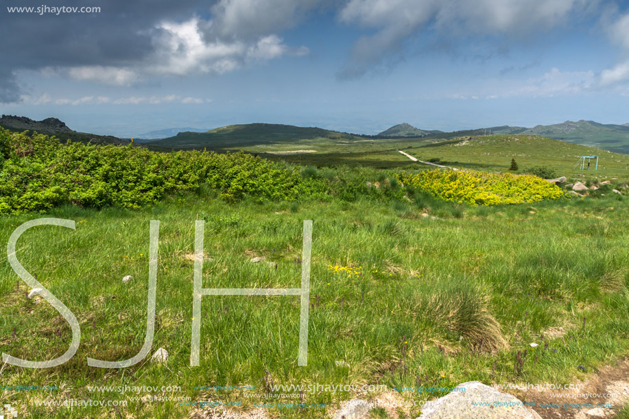 Panorama with green hills of Vitosha Mountain near Cherni Vrah Peak, Sofia City Region, Bulgaria