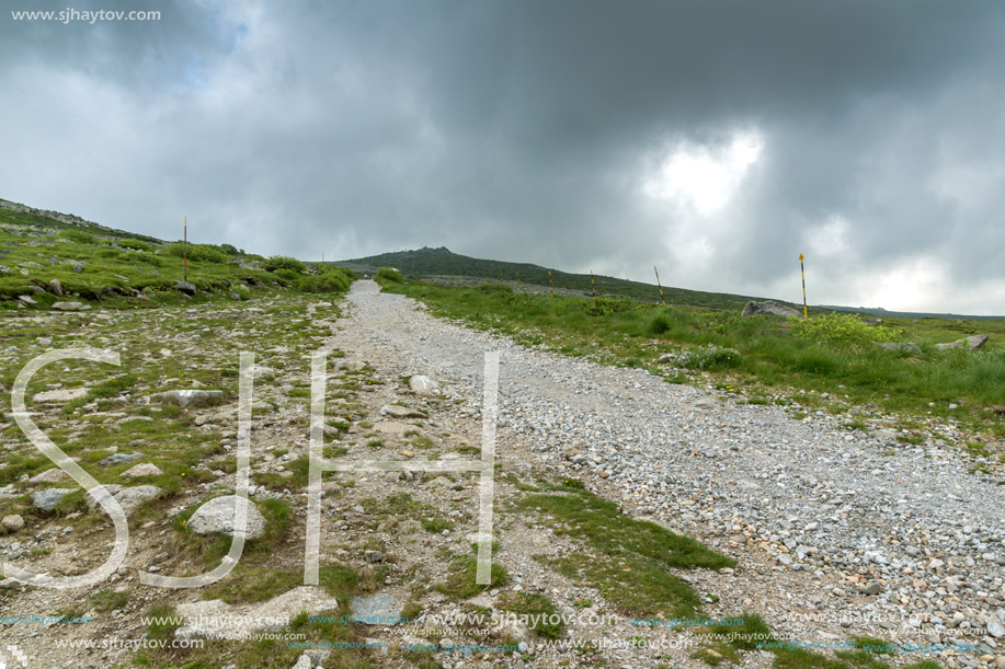 Panorama with green hills of Vitosha Mountain near Cherni Vrah Peak, Sofia City Region, Bulgaria