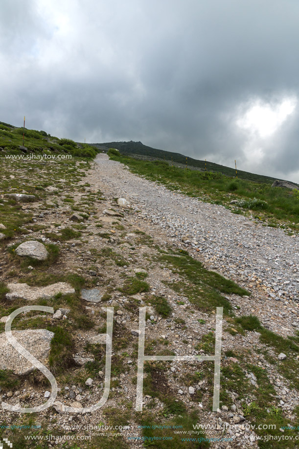 Panorama with green hills of Vitosha Mountain near Cherni Vrah Peak, Sofia City Region, Bulgaria